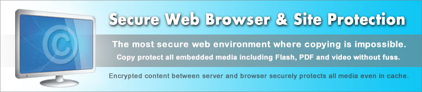 ウェブサイトの保護とセキュアなWebブラウザ